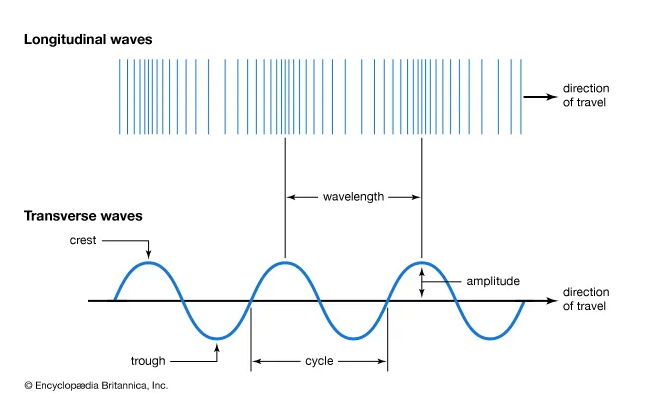 Ondas longitudinales y transversales